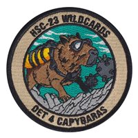 HSC-23  DET 4 Wildcards Capybaras Patch