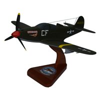 Design Your Own P-39 Custom Airplane Model 