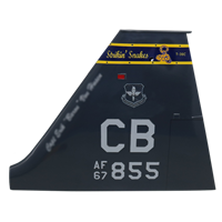 50 FTS T-38 Airplane Tail Flash